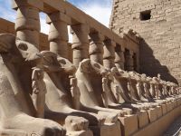 Luxor, Karnak-Tempel, der Widder ist eines der Attribute von Amun, dem der Tempel geweiht ist.