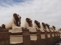 Luxor, Karnak-Tempel, die Sphingenallee reicht über 2,5 km zum Luxor-Tempel.