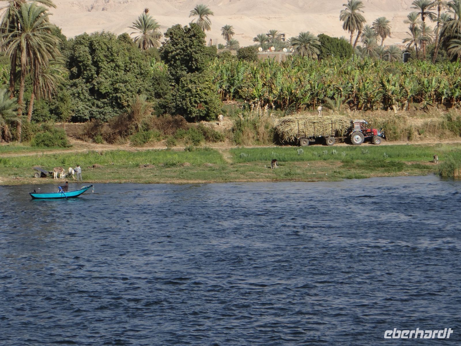 Nilkreuzfahrt, was für uns Vorbeifahrenden Idylle ist, ist für jene am Ufer Arbeit.