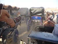 Edfu, hin und zurück mit Kutschen, die die Platzhirsche im Ort sind.