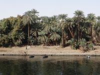 Nilkreuzfahrt, es geht weiter von Edfu nach Kom Ombo.