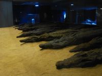 Kom Obmo, der Doppeltempel war dem Krokodilgott Sobek und Haroëris, dem Sohn des Re, geweiht. Daher fanden sich mumifizierte Krokodile bei Ausgrabungen.