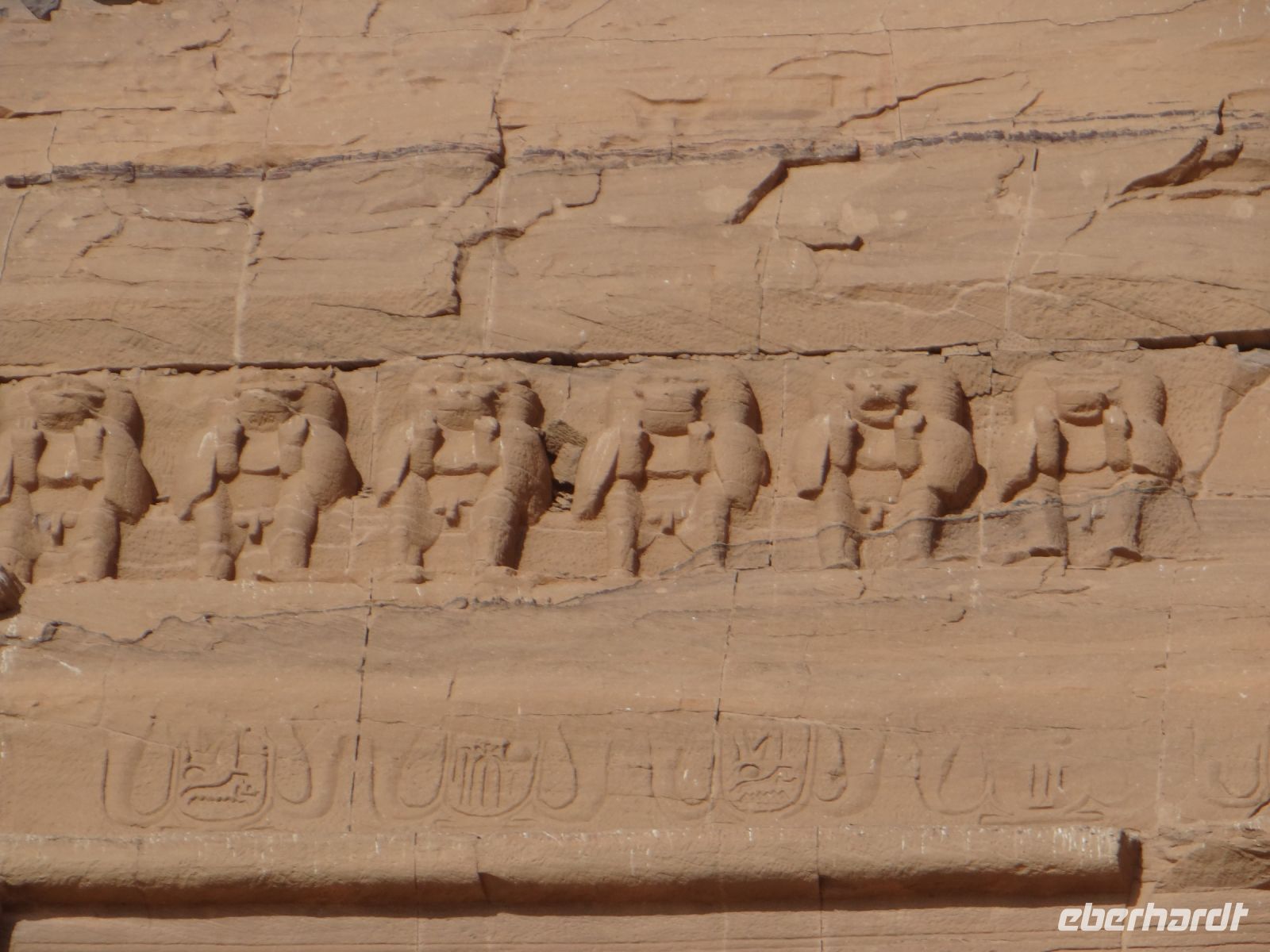 Abu Simbel, Tempel Ramses II., die Paviane sind heilige Tiere und begrüßen jeden Morgen den aufgehenden Sonnengott mit fröhlichem Geschrei.