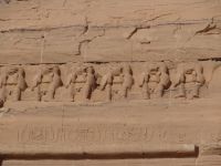Abu Simbel, Tempel Ramses II., die Paviane sind heilige Tiere und begrüßen jeden Morgen den aufgehenden Sonnengott mit fröhlichem Geschrei.