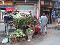 Assuan, vom Feld direkt auf den Markt 