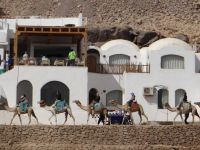 Assuan, Touristenritt zu einem nubischen Dorf