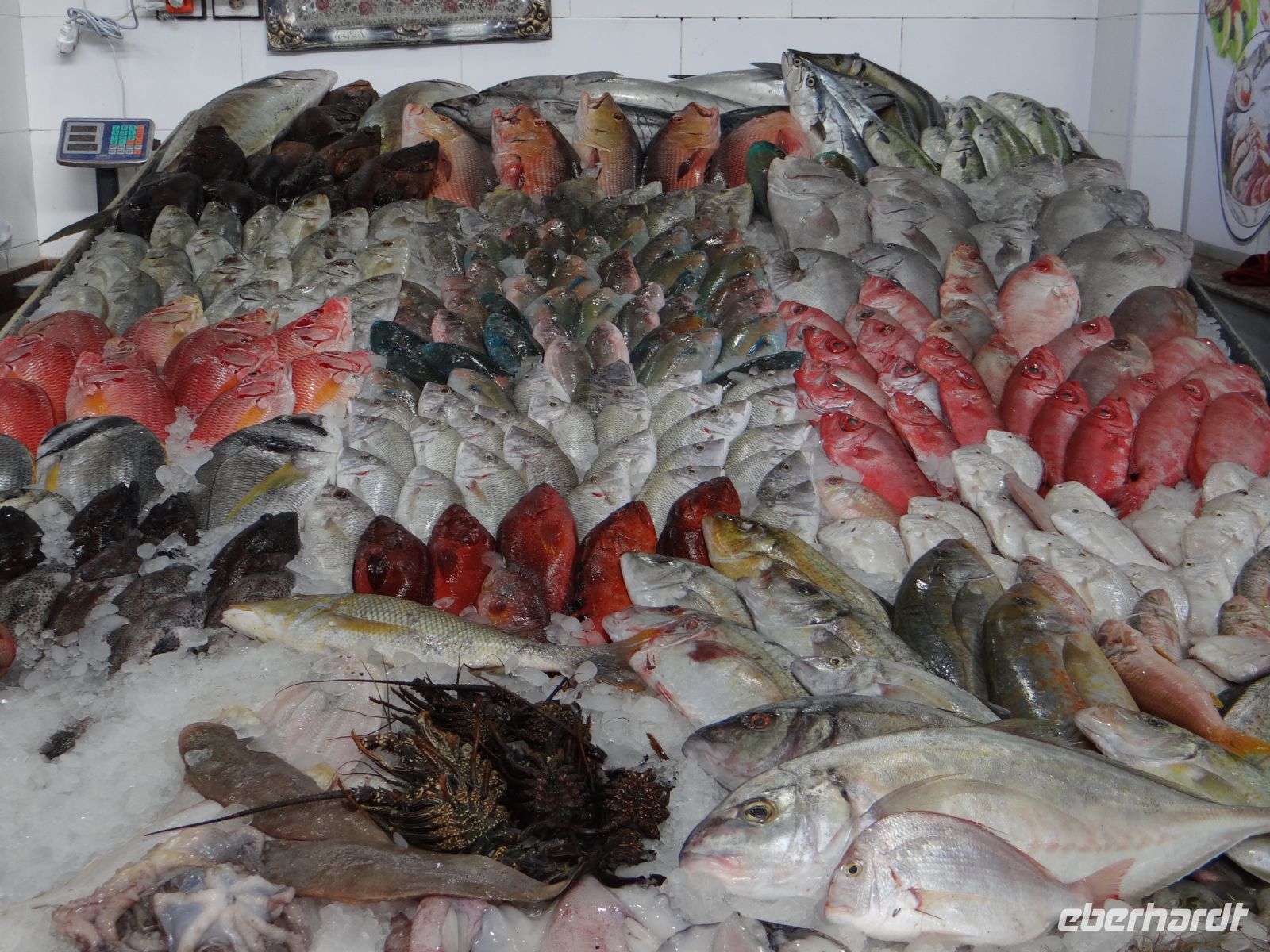 Hurgadha, Fischmarkt