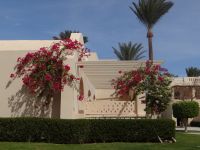 Hurgadha, man wähnt sich in einem Villenvorort.