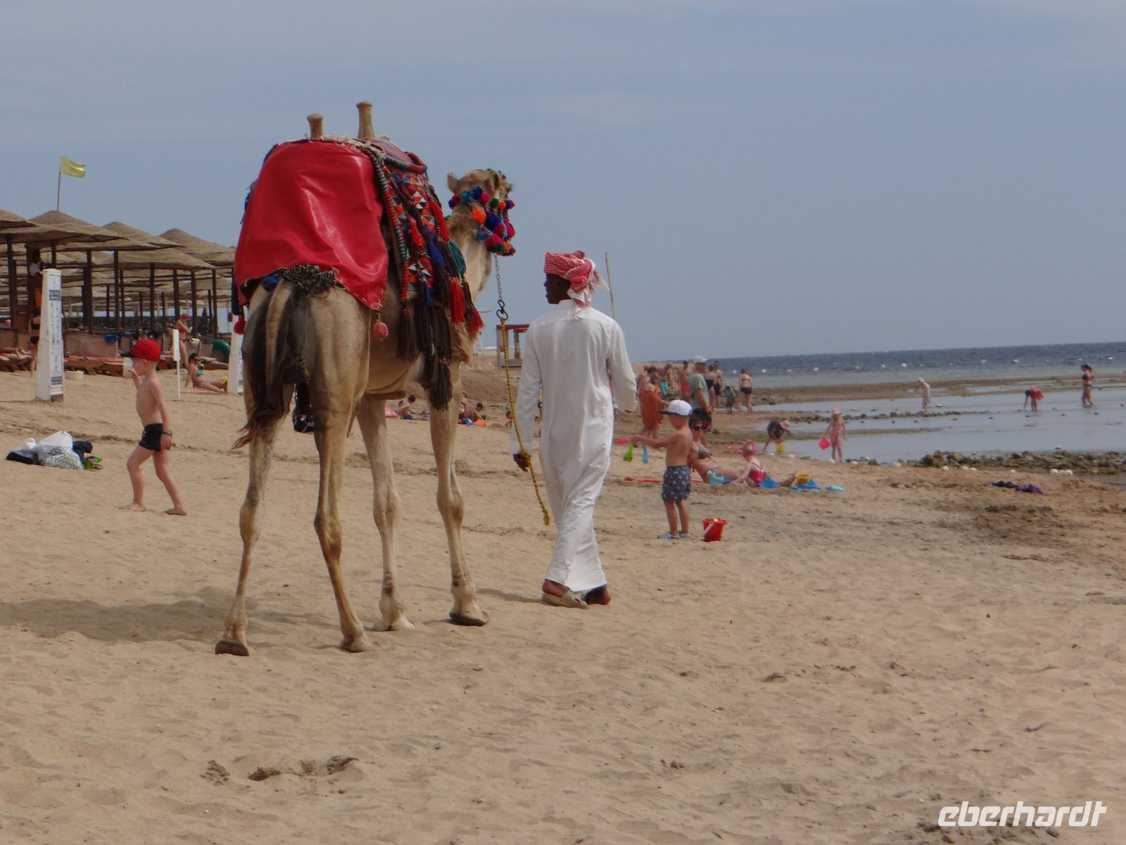 Hurgadha, auf der Suche nach Reitern