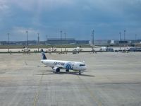 Flug mit Egypt Air nach Kairo...