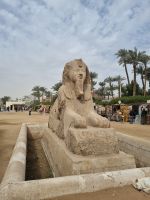 Memphis - Alabaster-Sphinx