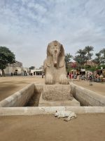 Memphis - Alabaster-Sphinx