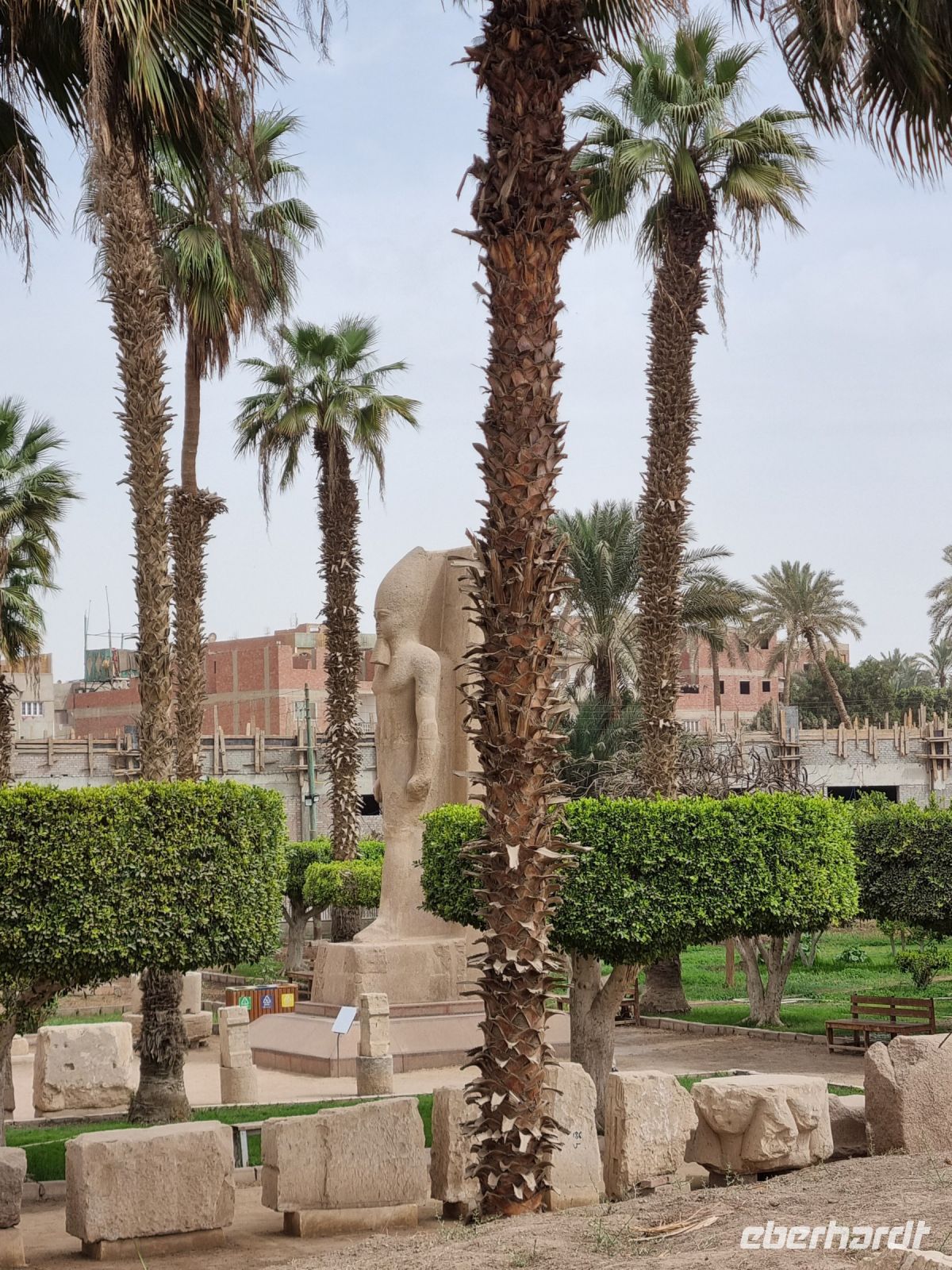 Memphis - Statue von Ramses II.