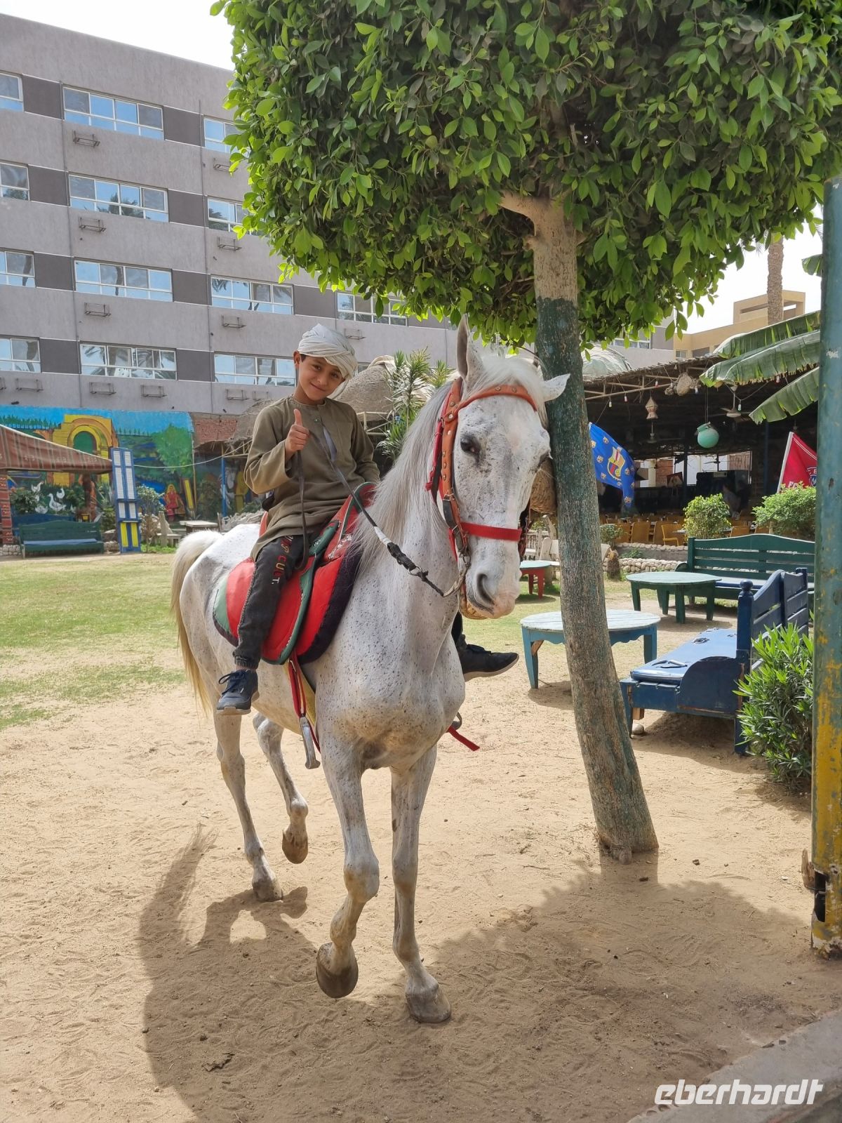 Mittagessen im Restaurant 