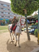 Mittagessen im Restaurant 