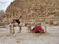 Gizeh (Cheops-Pyramide)