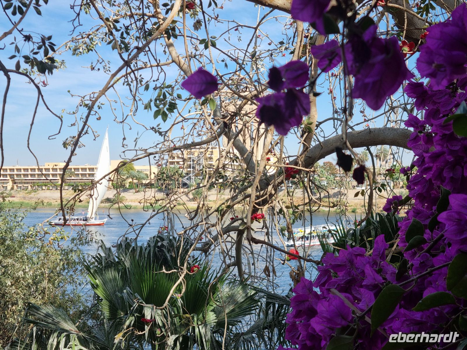Botanischer Garten von Assuan