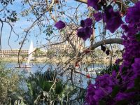 Botanischer Garten von Assuan