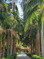 Botanischer Garten von Assuan