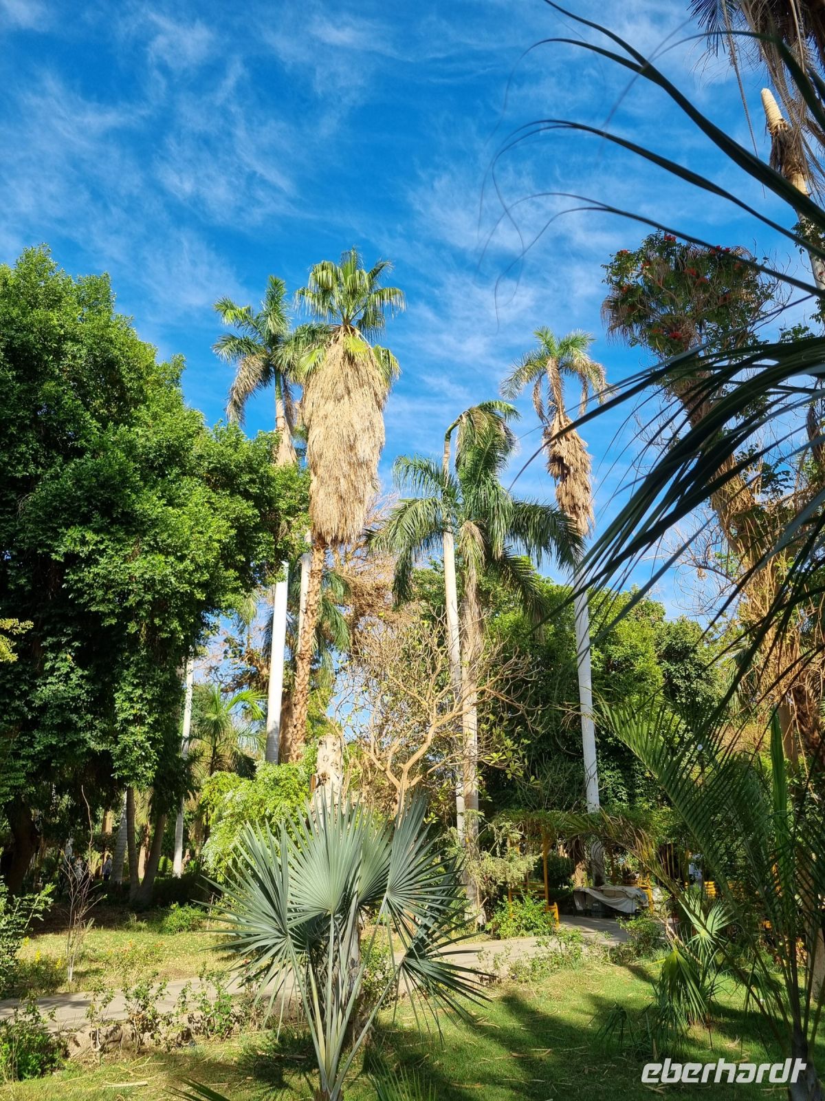 Botanischer Garten von Assuan