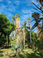 Botanischer Garten von Assuan