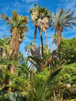 Botanischer Garten von Assuan