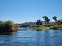 Motorbootsfahrt zum Nubischen Dorf Nagaa Al Mahata... 