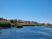 Motorbootsfahrt zum Nubischen Dorf Nagaa Al Mahata...