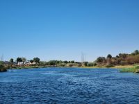 Motorbootsfahrt zum Nubischen Dorf Nagaa Al Mahata...