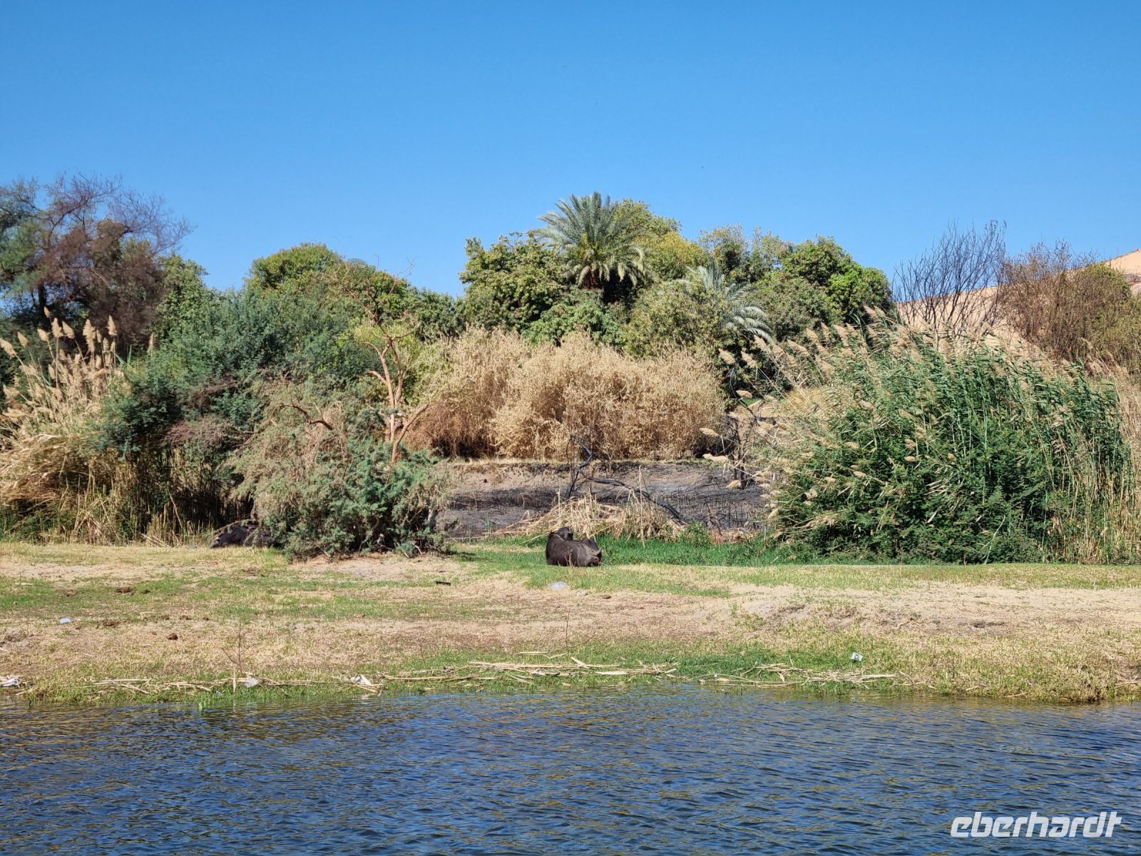 Motorbootsfahrt zum Nubischen Dorf Nagaa Al Mahata... 