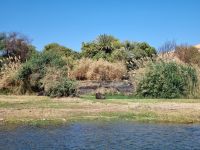 Motorbootsfahrt zum Nubischen Dorf Nagaa Al Mahata... 