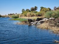 Motorbootsfahrt zum Nubischen Dorf Nagaa Al Mahata... 