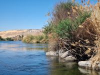 Motorbootsfahrt zum Nubischen Dorf Nagaa Al Mahata... (Salouga und Ghazal Naturschutzgebiet)