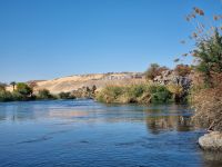 Motorbootsfahrt zum Nubischen Dorf Nagaa Al Mahata... (Salouga und Ghazal Naturschutzgebiet)