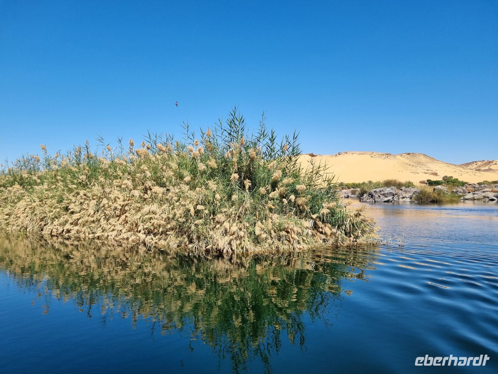 Motorbootsfahrt zum Nubischen Dorf Nagaa Al Mahata... (Salouga und Ghazal Naturschutzgebiet)