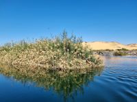 Motorbootsfahrt zum Nubischen Dorf Nagaa Al Mahata... (Salouga und Ghazal Naturschutzgebiet)