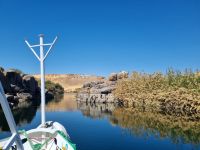 Motorbootsfahrt zum Nubischen Dorf Nagaa Al Mahata... (Salouga und Ghazal Naturschutzgebiet)