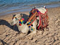 Strand von Makadi Bay südlich von Hurghada 