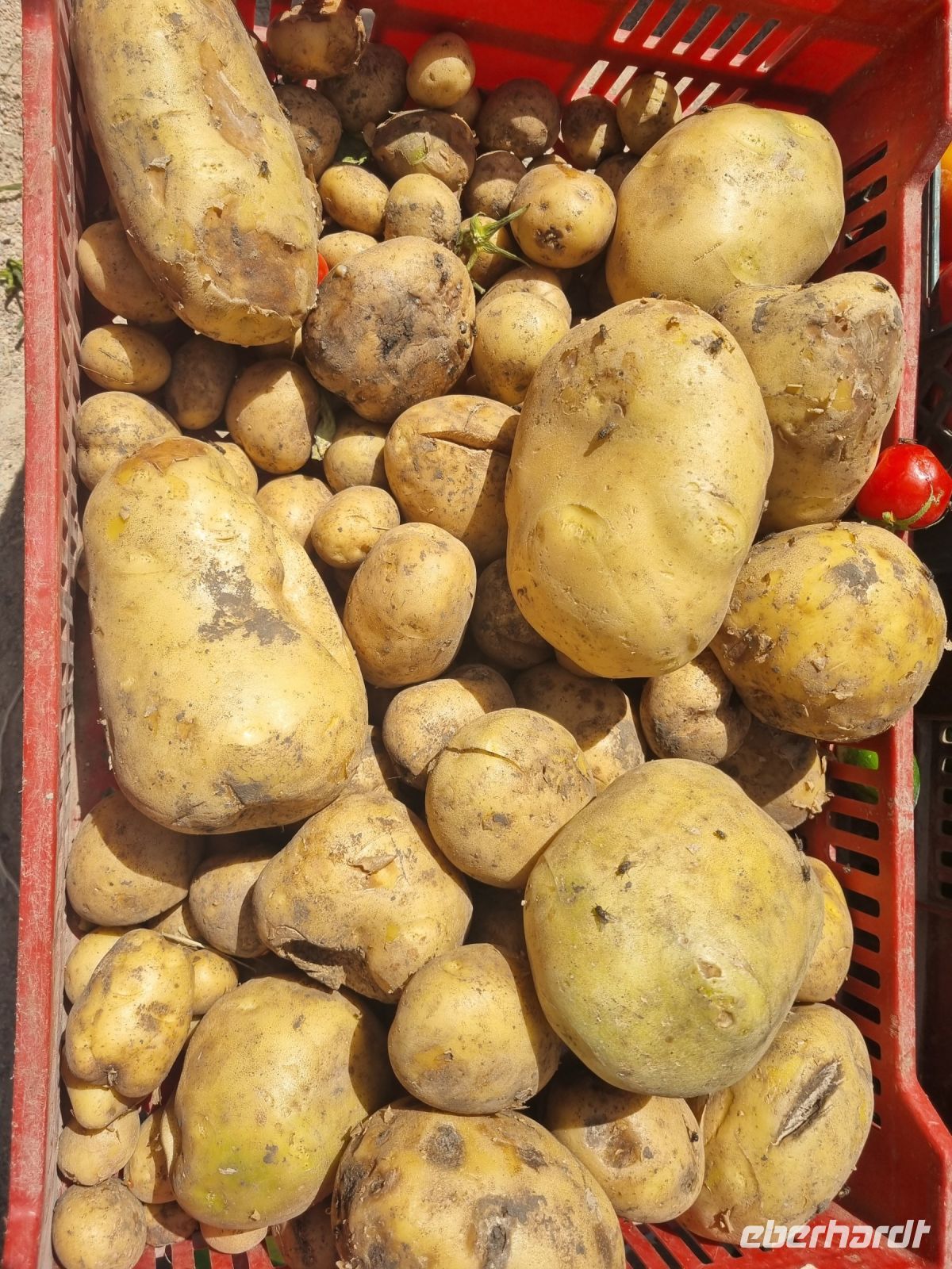 Hurghada (Alter Markt)