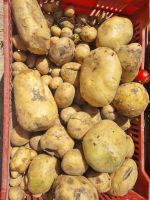 Hurghada (Alter Markt)