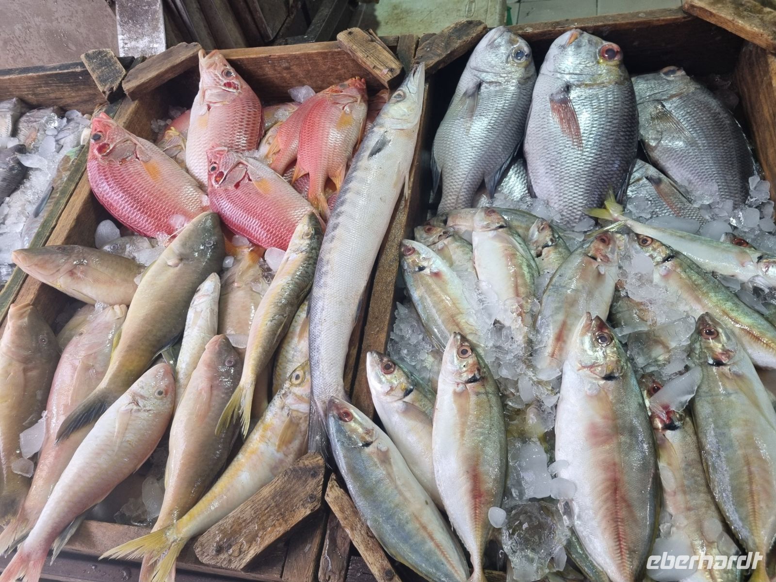 Hurghada (Alter Markt)