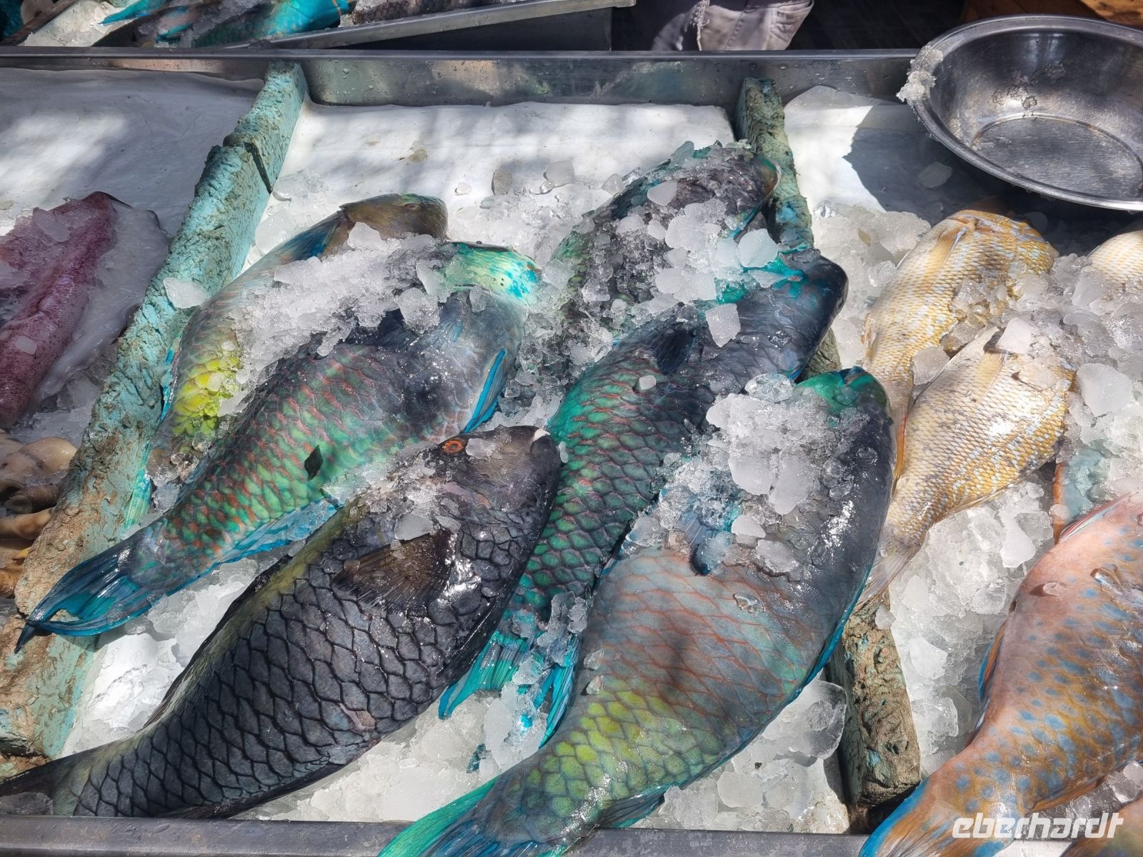 Hurghada (Alter Markt)