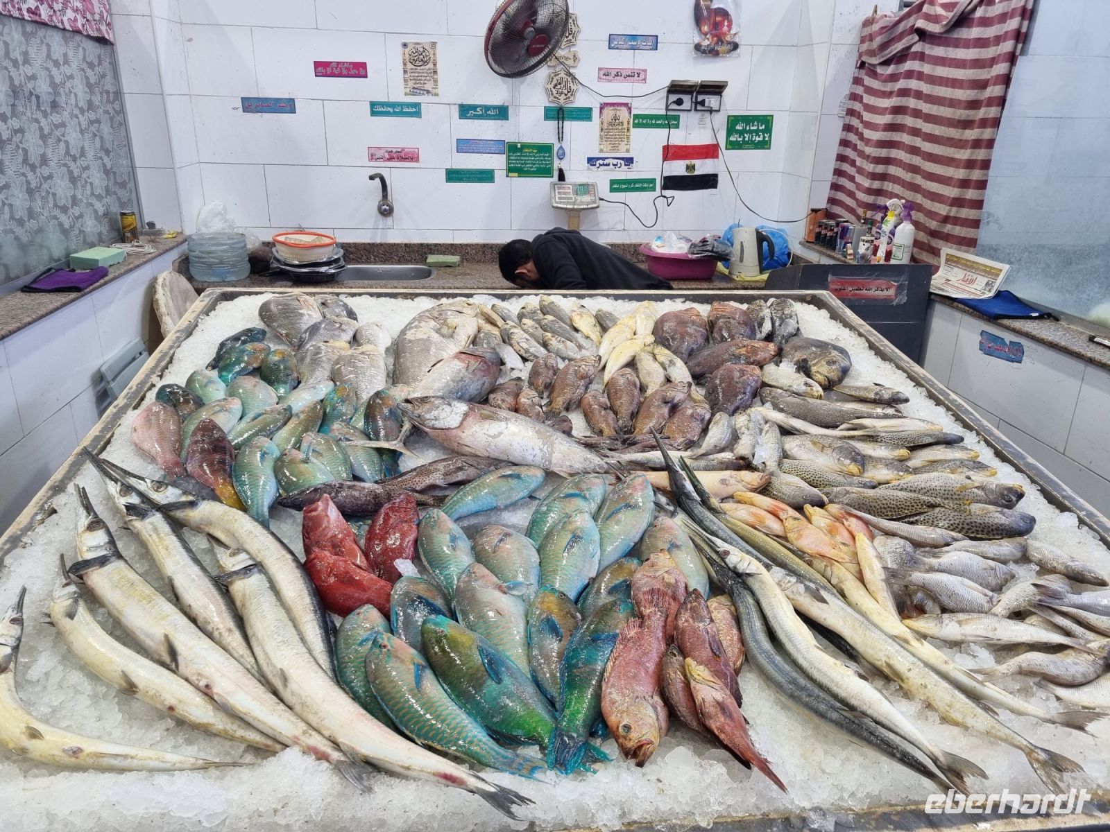 Hurghada - Fischmarkt 