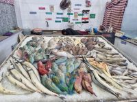 Hurghada - Fischmarkt 