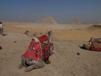 Panorama drei Pyramiden, Gizeh, Kairo