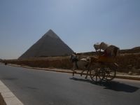 Pyramide Gizeh, Kairo, Ägypten mit Pferdekutsche