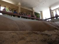 Ramses-Statue in Memphis