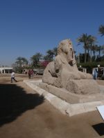 Der Sphinx in Memphis