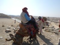 Kamelreiten in Sakkara