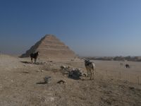 Die Stufenpyramide von König Djoser, Sakkara